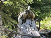 Rocky Mountain National Park