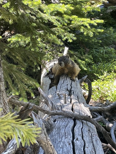 Rocky Mountain National Park
