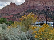 Zion National Park