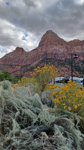 Zion National Park