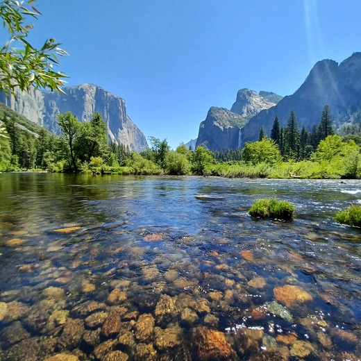 Yosemite National Park