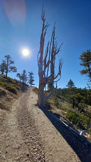 Bryce Canyon