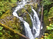 Olympic National Park