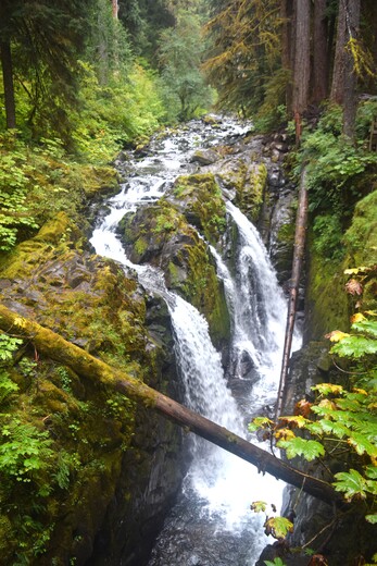Olympic National Park