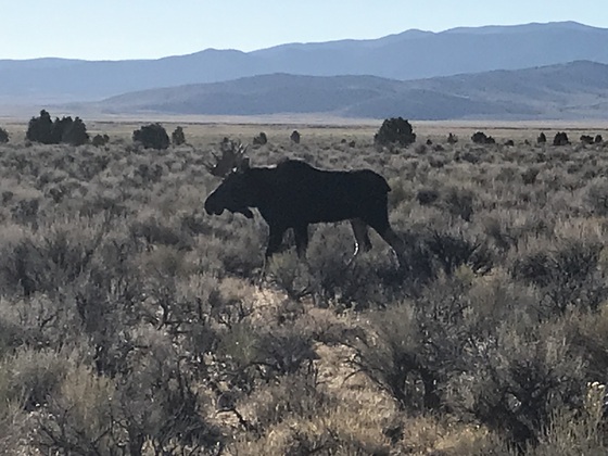 Ruby Valley
