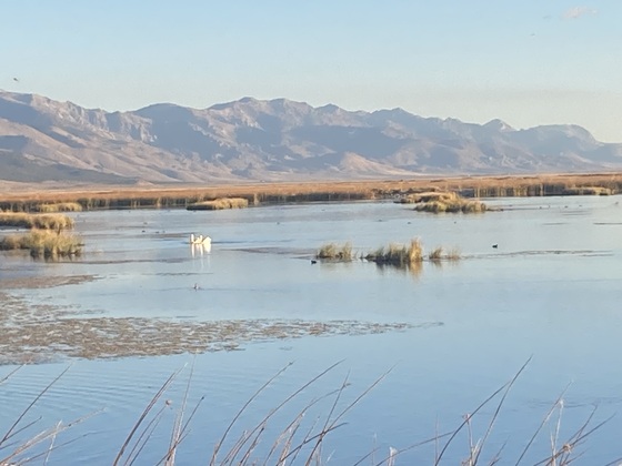 Ruby Valley