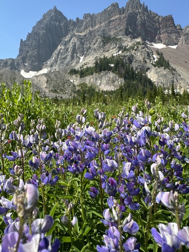 Deschutes National Forest