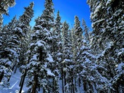 Arapaho and Roosevelt Nation Forest