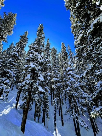 Arapaho and Roosevelt Nation Forest