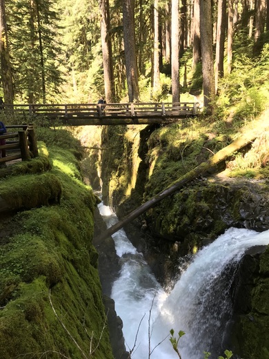 Olympic National Park