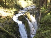 Olympic National Park