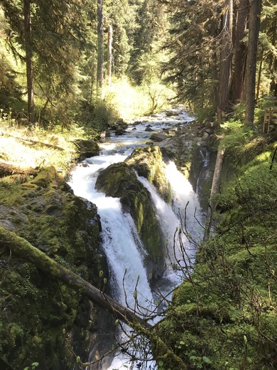 Olympic National Park