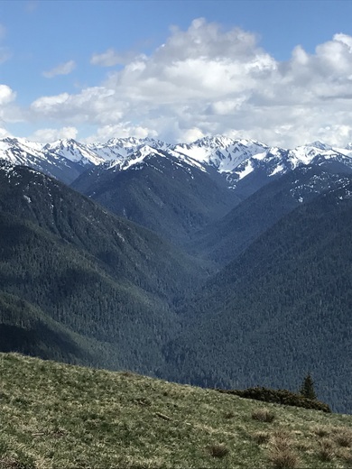 Olympic National Park