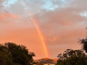 Sequoia National Park