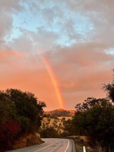 Sequoia National Park