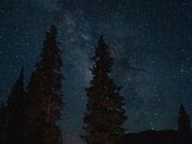 gunnison national forest