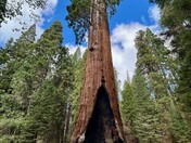 Sequoia National Park