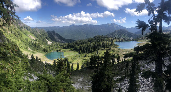 Olympic National Park 