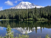 Mount Rainier National Park