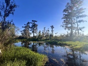 Jean Lafitte National Historical Park and Preserve
