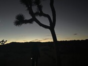Joshua Tree National Park