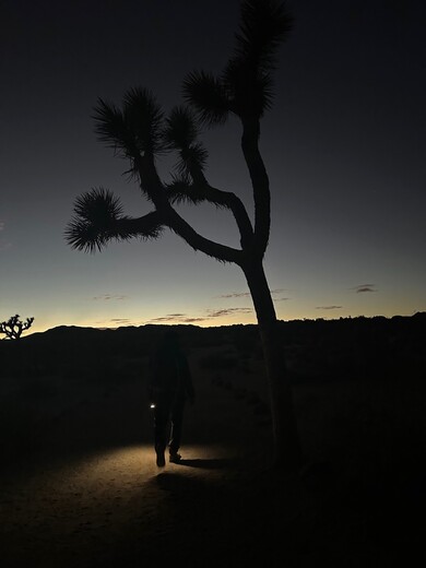 Joshua Tree National Park