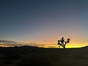 Joshua Tree National Park