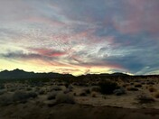 Joshua Tree National Park