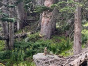 Rocky Mountain National Park