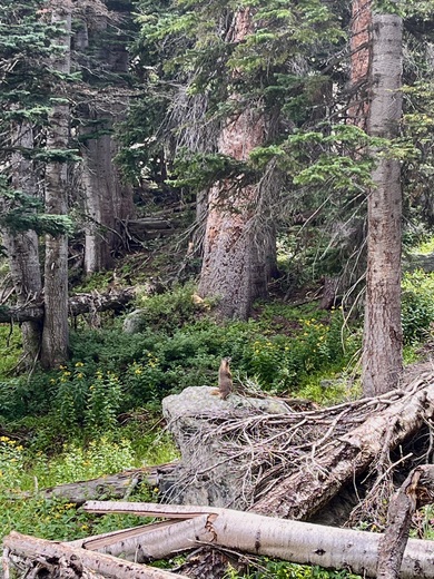 Rocky Mountain National Park