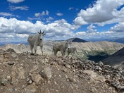 White River National Forest