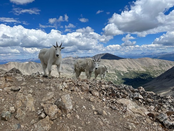 White River National Forest