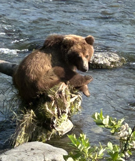 Katmai National Park, Brooks Falls