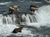 Katmai National Park, Brooks Falls