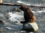 Katmai National Park, Brooks Falls