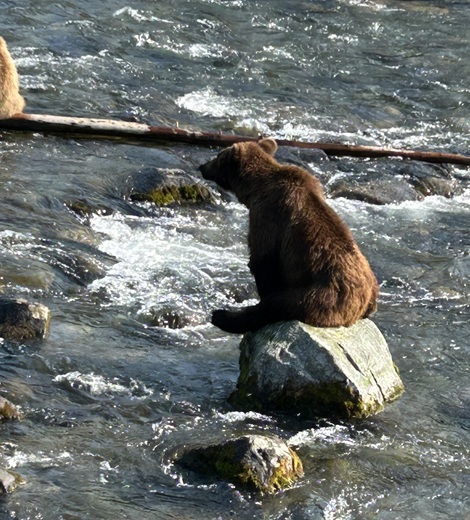 Katmai National Park, Brooks Falls