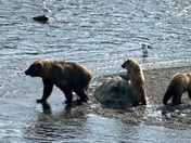 Katmai National Park, Brooks Falls