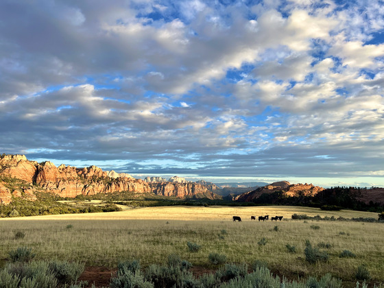 Zion National Park