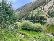 Maroon Bells Scenic Area