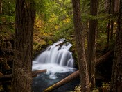 Umpqua National Forest