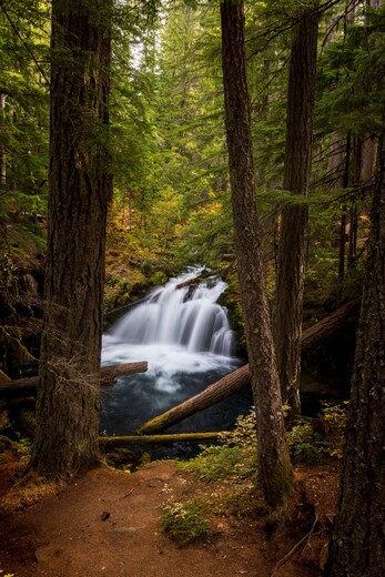 Umpqua National Forest