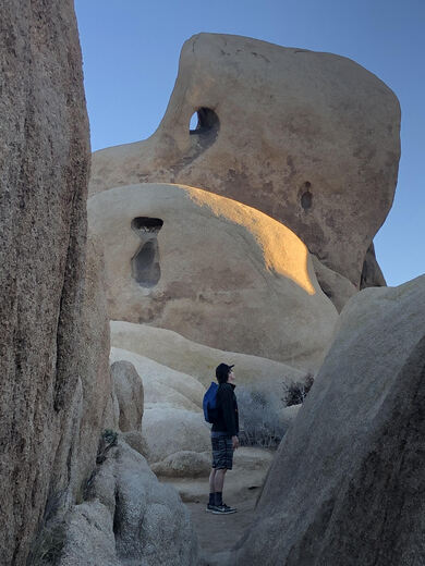 Joshua Tree National Park 