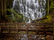 Mt. Hood National Forest
