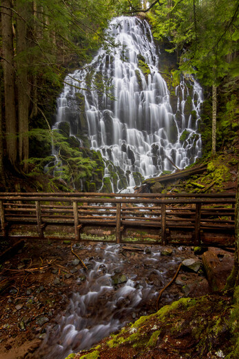 Mt. Hood National Forest