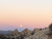 Joshua Tree National Park 