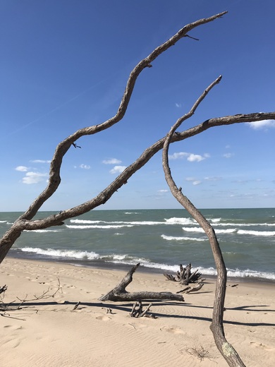 Indiana Dunes National Park