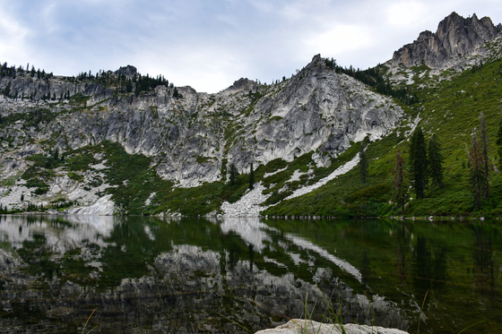 Shasta-Trinity National Forest