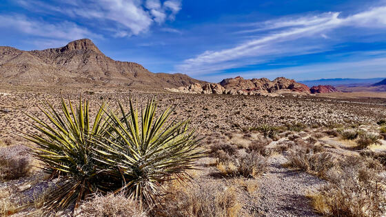 Red Rock Canyon