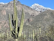 Sabino Canyon Recreation Area