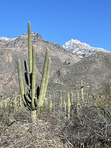 Sabino Canyon Recreation Area
